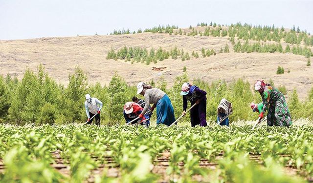 TZOB Genel Başkanı Şemsi Bayraktar: Çiftçilerin Mağduriyeti Giderilmeli!