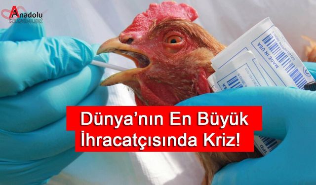 Dünya’nın En Büyük İhracatçısında Kriz!