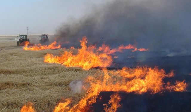 Bayraktar: Anız Yakma Gibi Çağ Dışı Uygulamalara Son Verilmeli