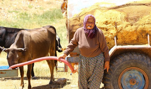 Belediyeden Çobanlara Destek!  İhtiyaçları Yerinde Temin Edilecek