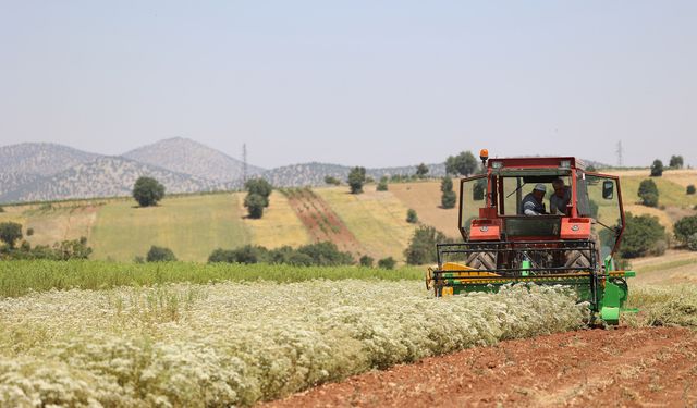 Konya’da Yenilikçi Tarım: Su Tasarrufu ve Verimlilik Bir Arada!