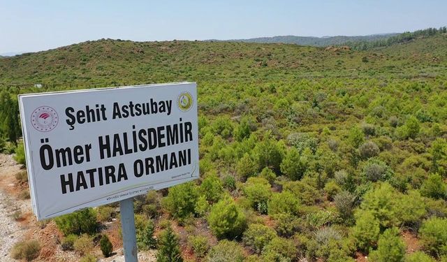 15 Temmuz Şehitlerinin Anısı Yeşil Vatan’da Yaşıyor!