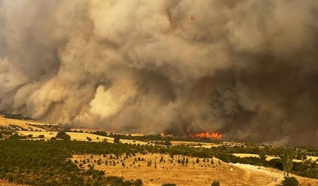 Çanakkale’de Yangın Söndürme Çalışmaları Sürüyor: 10 Köy Boşaltıldı