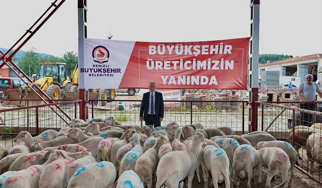 Küçükbaş Hayvancılığa Belediye Desteği!