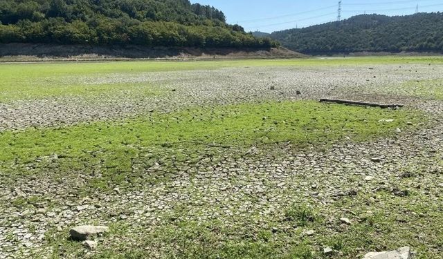 İstanbul’un Su Kaynağı Tehlikede: Gölet Tamamen Kurudu!