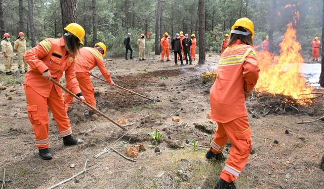 Orman Yangınlarına Gönüllü Destek Çağrısı!