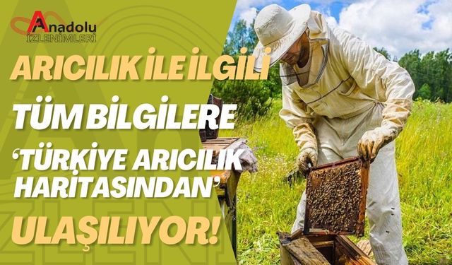 Arıcılık İle İlgili Tüm Bilgilere ‘Türkiye Arıcılık Haritasından’ Ulaşılıyor!