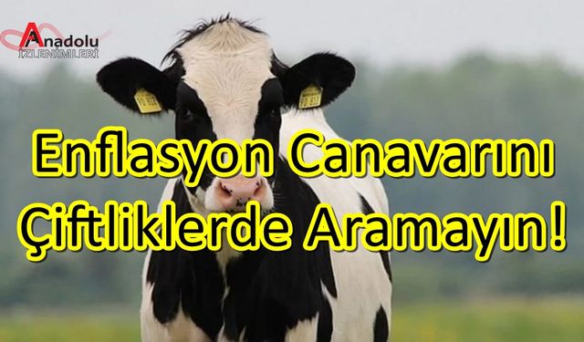 Enflasyon Canavarını Çiftliklerde Aramayın!