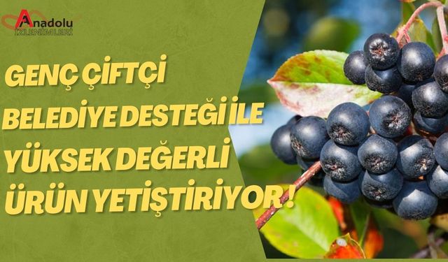 Genç Çiftçi Belediye Desteği ile Yüksek Değerli Ürün Yetiştiriyor!