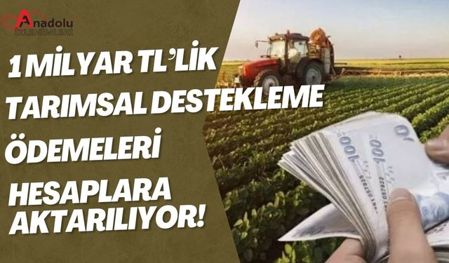 1 Milyar TL’lik Tarımsal Destekleme Ödemeleri Hesaplara Aktarılıyor!