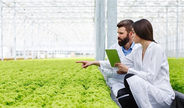 Toprağa Dönüş Zamanı: O Belediye Tarım Lisesi Kuruyor!