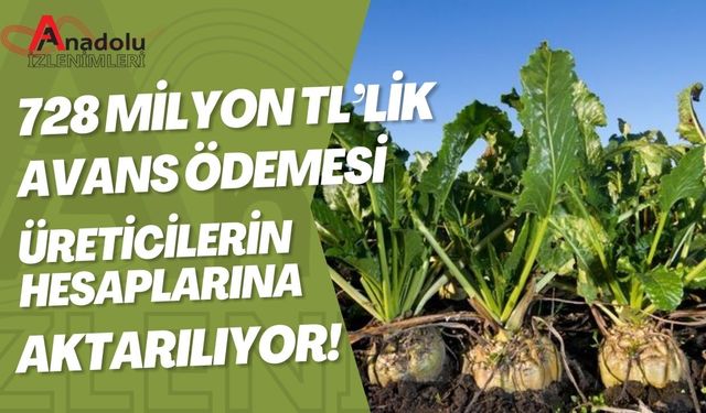 728 Milyon TL’lik Avans Ödemesi Üreticilerin Hesaplarına Aktarılıyor!