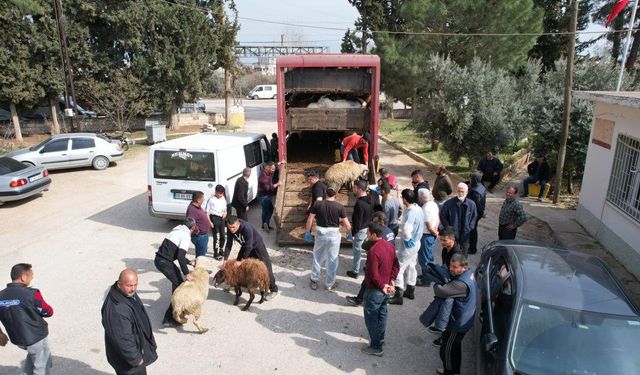 Bakanlığın Bedelsiz Hayvan Dağıtımı Devam Ediyor!