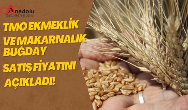 TMO Ekmeklik ve Makarnalık Buğday Satış Fiyatını Açıkladı!