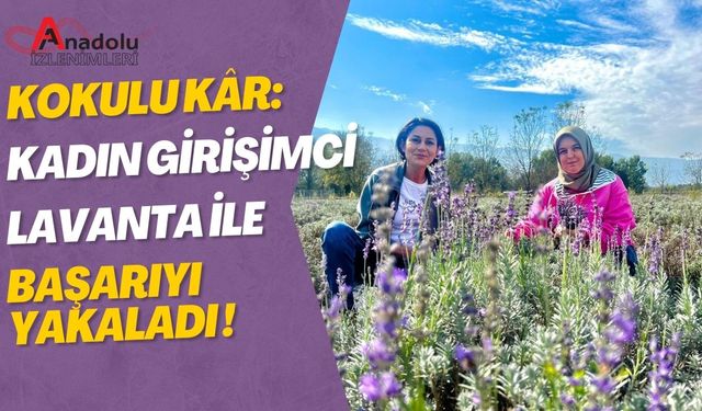 Kokulu Kâr: Kadın Girişimci Lavanta İle Başarıyı Yakaladı!