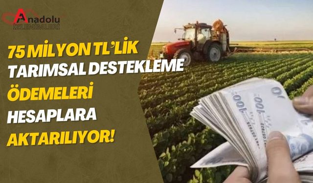 75 Milyon TL’lik Tarımsal Destekleme Ödemeleri Hesaplara Aktarılıyor!