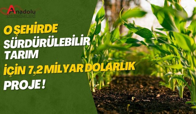 O Şehirde Sürdürülebilir Tarım İçin 7,2 Milyon Dolarlık Proje!