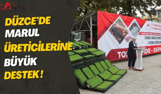 Düzce’de Marul Üreticilerine Büyük Destek!