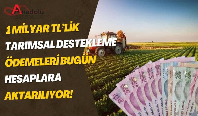 1 Milyar TL’lik Tarımsal Destekleme Ödemeleri Bugün Hesaplara Aktarılıyor!