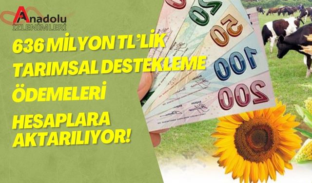 636 Milyon TL’lik Tarımsal Destekleme Ödemeleri Hesaplara Aktarılıyor!