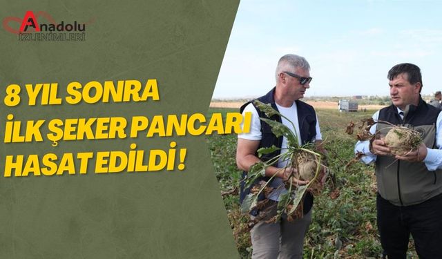 8 Yıl Sonra İlk Şeker Pancarı Hasat Edildi!