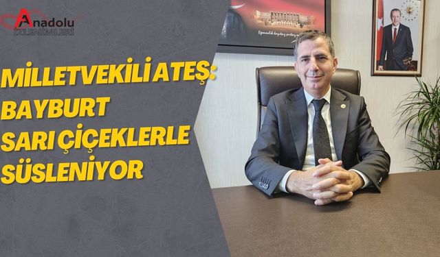 Bayburt Sarı Çiçeklerle Süsleniyor!