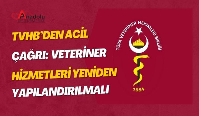 TVHB’den Acil Çağrı: Veteriner Hizmetleri Yeniden Yapılandırılmalı