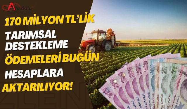 170 Milyon TL’lik Tarımsal Destekleme Ödemeleri Bugün Hesaplara Aktarılıyor!