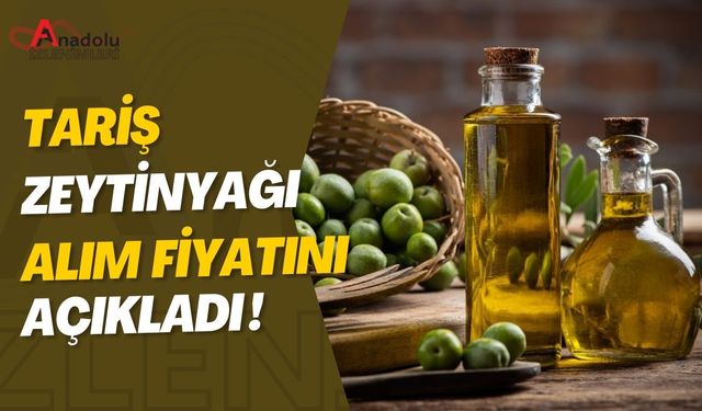 Tariş Zeytinyağı Alım Fiyatını Açıkladı!