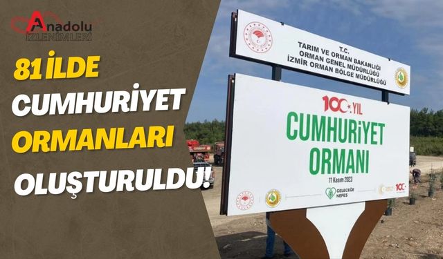 81 İlde Cumhuriyet Ormanları Oluşturuldu!