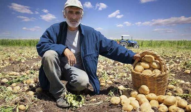 TÜİK Açıkladı: Tarım ÜFE’de Rekor Artış!