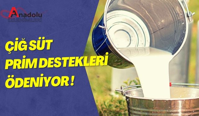 Çiğ Süt Prim Destekleri Ödeniyor!