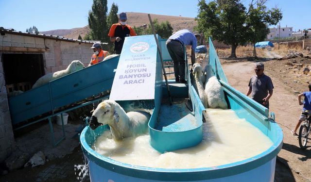 Belediyeden Tarıma ve Hayvancılığa Büyük Destek!