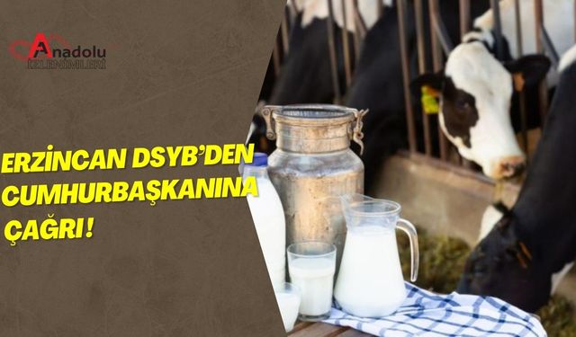 Erzincan DSYB’den Cumhurbaşkanına Çağrı!