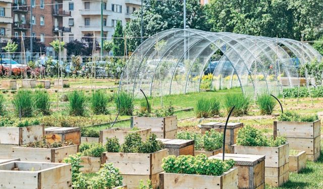 Belediyeden Vatandaşa ‘Kent Tarımı’ Eğitimi!