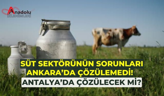 Süt Sektörünün Sorunları Ankara’da Çözülemedi! Antalya’da Çözülecek mi?
