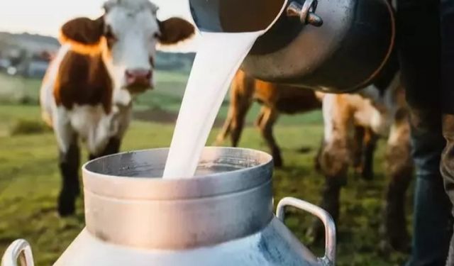 ‘Çiğ Sütün AB Kriterlerine Uyumlu Hale Getirilmesini Bekliyoruz’!