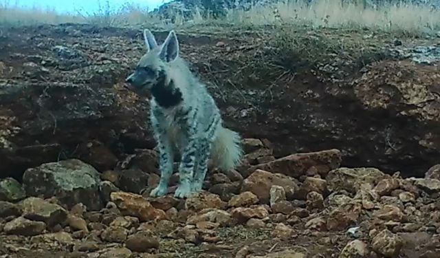 Bakan Yumaklı: Nadir de Olsa Seni Görmek Çok Güzel