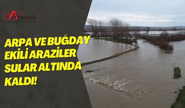 Arpa ve Buğday Ekili Araziler Sular Altında Kaldı!