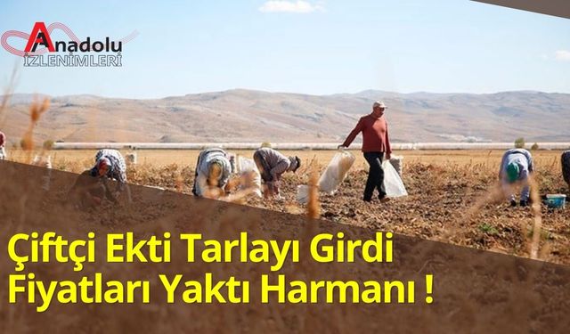 Çiftçi Ekti Tarlayı Girdi Fiyatları Yaktı Harmanı!