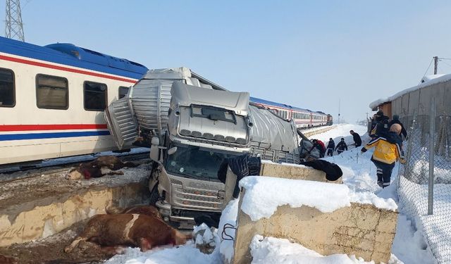 Feci Kaza! Hayvan Yüklü Tır’a Tren Çarptı!