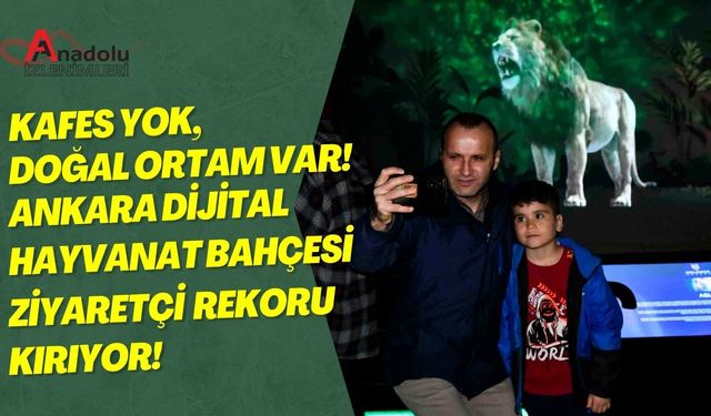 Kafes Yok, Doğal Ortam Var! Ankara Dijital Hayvanat Bahçesi Ziyaretçi Rekoru Kırıyor