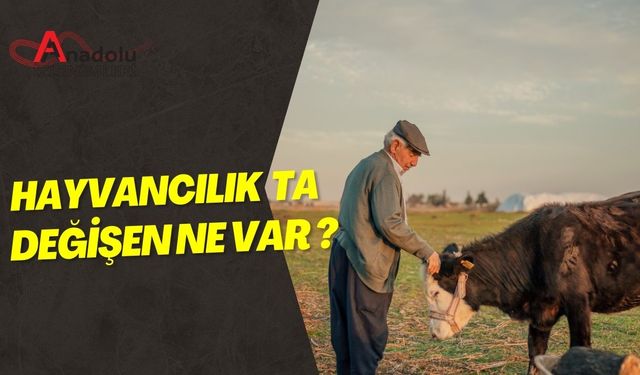 Hayvancılık ta Değişen Ne Var?