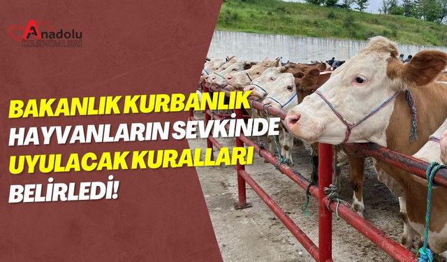 Bakanlık Kurbanlık Hayvanların Sevkinde Uyulacak Kuralları Belirledi!