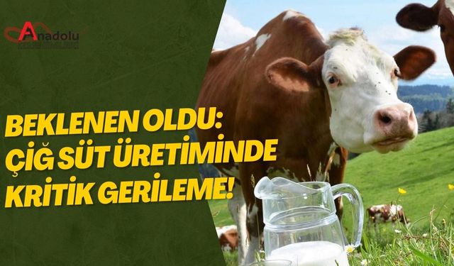 Beklenen Oldu: Çiğ Süt Üretiminde Kritik Gerileme!