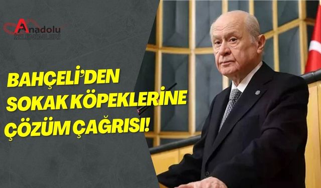 Bahçeli’den Sokak Köpeklerine Çözüm Çağrısı!