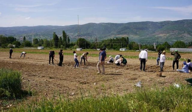 Hangi Şehir Hastanesi İçin Yine Tarım Arazisi Feda Edilecek?