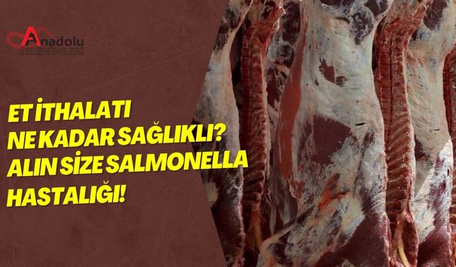 Et İthalatı Ne Kadar Sağlıklı? Alın Size Salmonella Hastalığı!