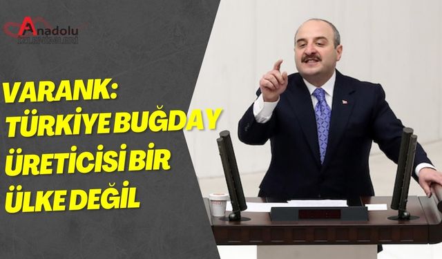 Varank: Türkiye Buğday Üreticisi Bir Ülke Değil