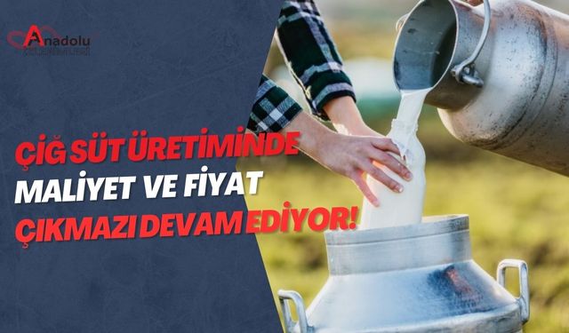 Çiğ Süt Üretiminde Maliyet ve Fiyat Çıkmazı Devam Ediyor!